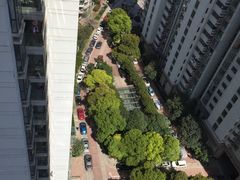 -新湖明珠城