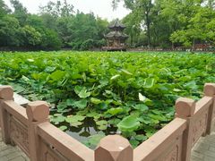 -房湖公园