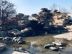 -石家庄市植物园