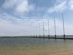 -碧海金沙