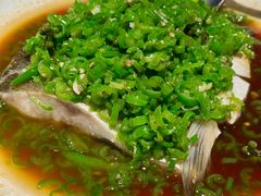 四川水库翘壳鱼-许家菜(DT51店)