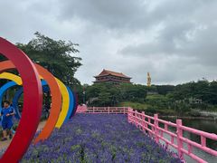 -广州莲花山旅游区