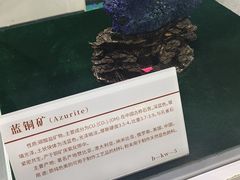 -中国第四纪冰川遗迹陈列馆