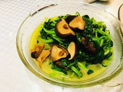 香菇炒青菜-镇扬菜馆
