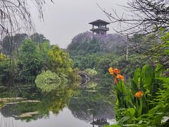 -张坝桂圆林公园