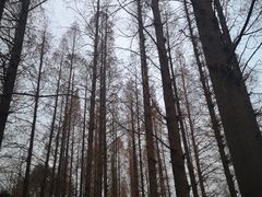 -襄阳古城