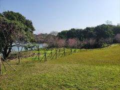 -福建鲤鱼洲酒店