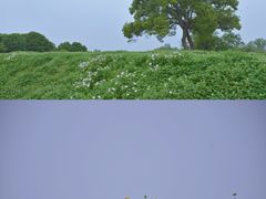 -良渚古城遗址公园