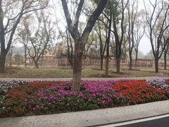 -武汉动物园