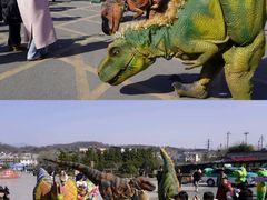 -中国西峡恐龙遗迹园
