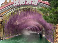 -沈阳方特欢乐世界