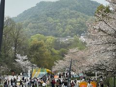 -杭州少年儿童公园