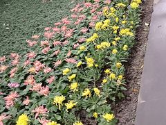 -怡心阁·水疗SPA(天府广场店)