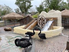 -珠海海泉湾神秘岛亲子乐园