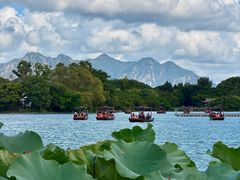 -江心屿景区