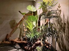 -森SPA·泰式按摩·精油Massage(宝安中心店)