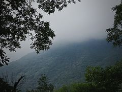 -梧桐山风景名胜区