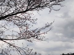 -凤凰沟景区