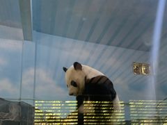 -柳州市动物园