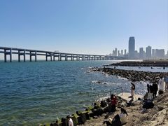-星海湾跨海大桥