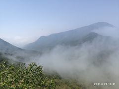 -阳台山自然风景区