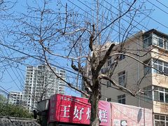 -厚富香面食店王好炸糕(延安路店)