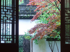 -虎跑公园