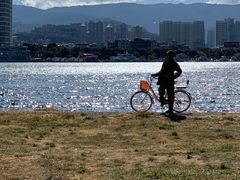 -洱海月湿地公园