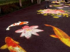 -水上乐园·欢乐世界