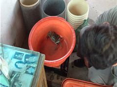 -阳澄湖大闸蟹·琼灵阁牌品牌连锁(吴中总店)