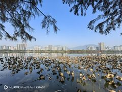 -飞来湖湿地公园
