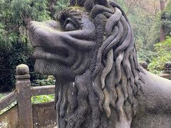 -青城山