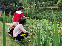 -沐仙湖湿地公园