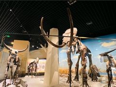 -国家自然博物馆