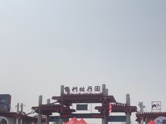 -曹州牡丹园
