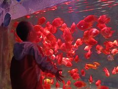 -常州海昌海洋探索馆