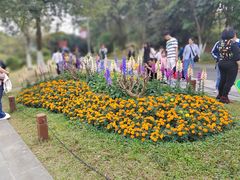 -东莞植物园