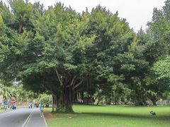 -三亚南山文化旅游区