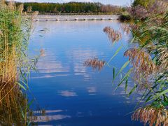 -野鸭湖国家湿地公园