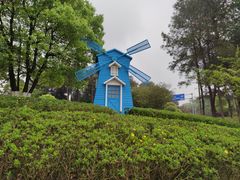 -铁山坪森林公园