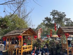 -青城甲(青城山店)