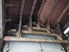 -福建土楼（华安）旅游区•大地土楼群