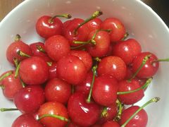 -陶然饺子城(奥体中路店)