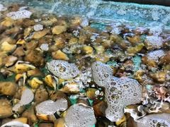 -钱塘府海鲜餐厅