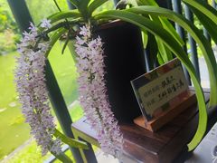 -云溪植物园
