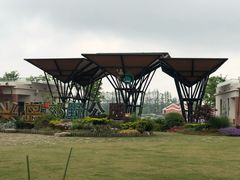 -上海长兴岛郊野公园