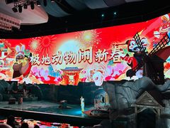 -大连圣亚海洋世界
