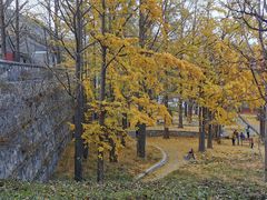 -阳台山自然风景区
