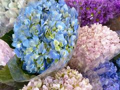 -循礼门鲜花花市(武汉循礼门店)