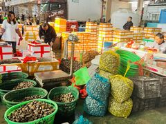 -海峡水产品交易中心(海鲜交易区)